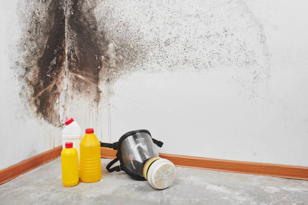 Best Residential Mold Removal  in Lakeview, GA