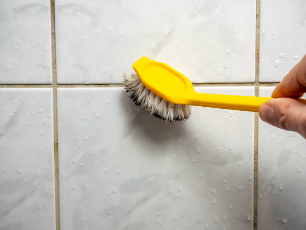 Office Mold Removal Services in Lakeview, GA