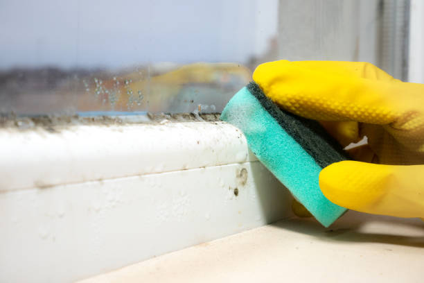 Crawl Space Mold Removal in Lakeview, GA