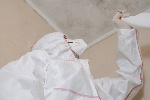 Best Office Mold Removal Services  in Lakeview, GA
