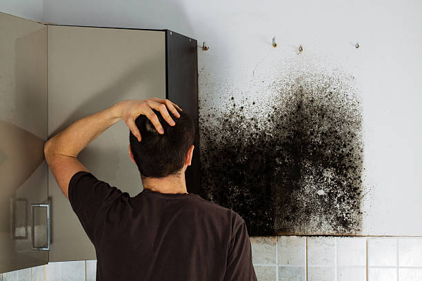 Best Commercial Mold Removal  in Lakeview, GA